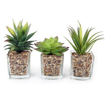 Set Of Three Faux Succulents In Glass Pots