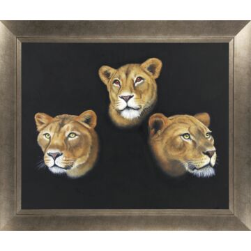 Three Lions By Peter Annable - Framed Art