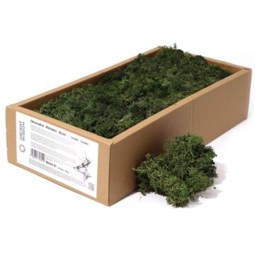 Decoration Reindeer Moss - Grass Green - (approx 500gm)