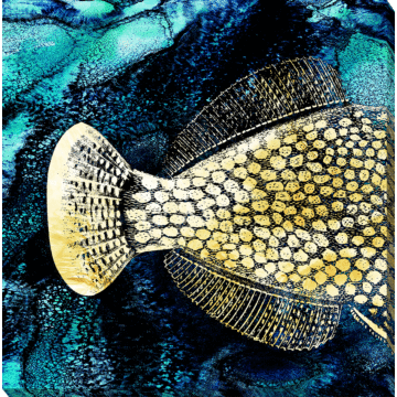 Golden Fish Ii By Christine Zalewski - Canvas Print