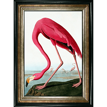 Flamingo By Incado - Framed Art