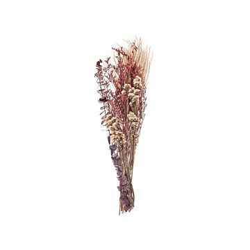 Dried Flower Bouquet Pink Natural Dried Flowers 55 Cm Wrapped In Brown Paper Natural Table Decoration Beliani