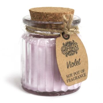 Violet Soy Pot Of Fragrance Candles (pack Of 2)