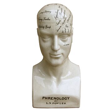 Large Ceramic Phrenology Head, 42cm