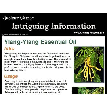 Ylang Ylang Essential Oil Info