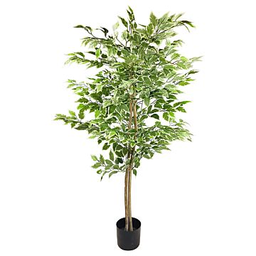 Artificial Ficus Tree With Variegation Leaves 150cm