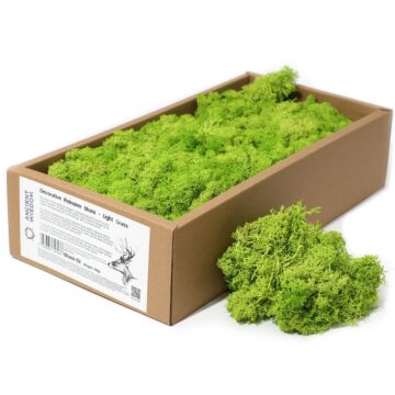 Decoration Reindeer Moss - Light Grass - (approx 500gm)