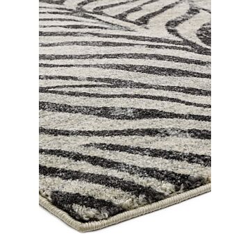 Nova 120x170cm Zebra Grey Rug Nv27