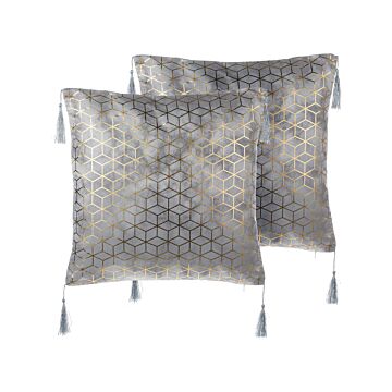 Set Of 2 Decorative Cushions Silver Jacquard Cube Pattern 45 X 45 Cm With Tassels Geometric Print Beliani