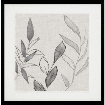 Botanical Sketch Ii By Susan Jill - Framed Art