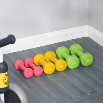 Homcom 6kg Dumbbell Set Fitness Weight Set For Men And Women Home Gym, Workout, Up Body Training