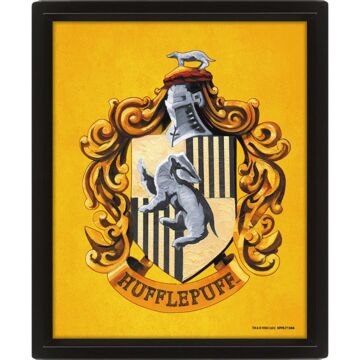 Harry Potter Hufflepuff Framed 3d Picture