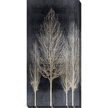 Silver Tree Silhouette Ii By Kate Bennett