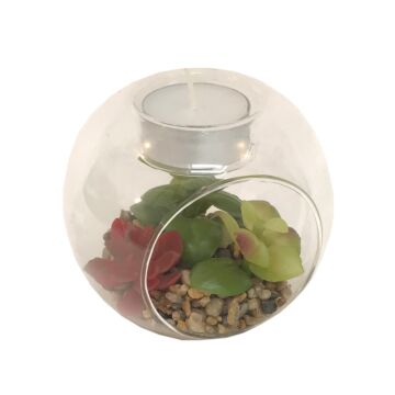 Succulent In Glass Terrarium With Tealight Holder