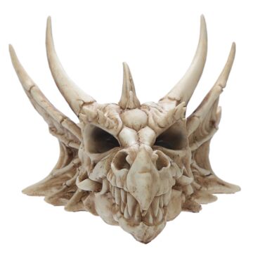 Collectable Dragon Skull
