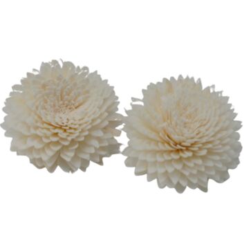 Natural Diffuser Flowers - Lrg Carnation On String - Pack Of 12