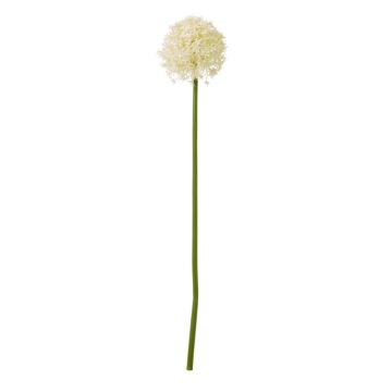 Cream Medium Allium Stem