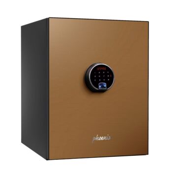 Phoenix Spectrum Plus Ls6011fg Size 1 Luxury Fire Safe With Gold Door Panel And Fingerprint Lock