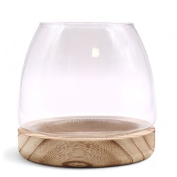 Medium Terarium On Natural Tung Wood