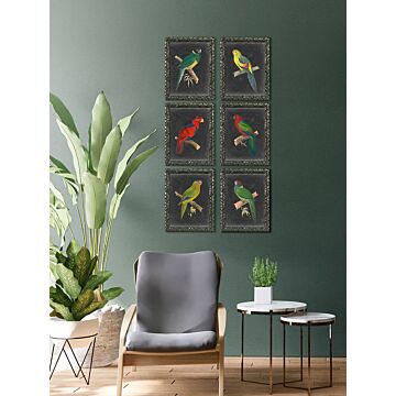 Dramatic Parrots V - Framed Art