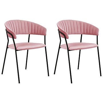 Set Of 2 Dining Chairs Pink Velvet Fabric Upholstery Black Metal Legs With Armrests Curved Backrest Modern Contemporary Design Beliani