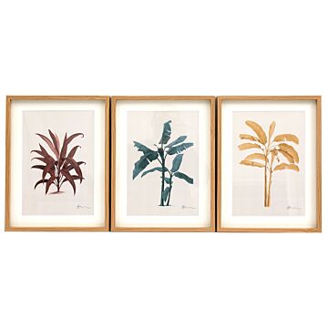 Tropical Palm Wall Art In Frames