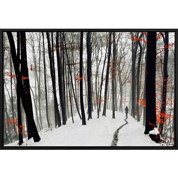 Walking Through Winter By Krivec