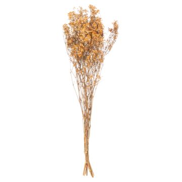A Bunch Of Dried Orange Baby's Breath