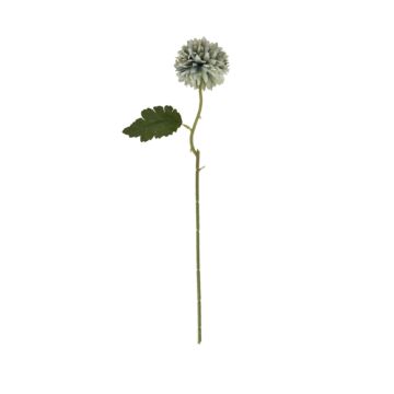 Pale Green Blue Short Chrysanthemum