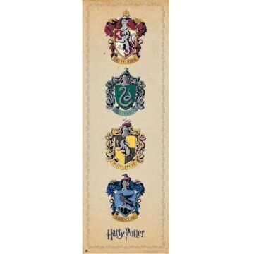 Harry Potter Door Poster 314