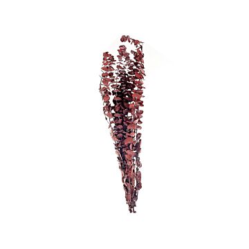 Dried Flower Bouquet Dark Red Dried Flowers 56 Cm Wrapped In Brown Paper Natural Table Decoration Beliani
