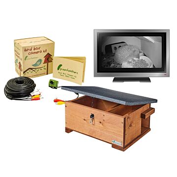 Hedgehog Box Camera Deluxe Bundle Tv Cable Connection
