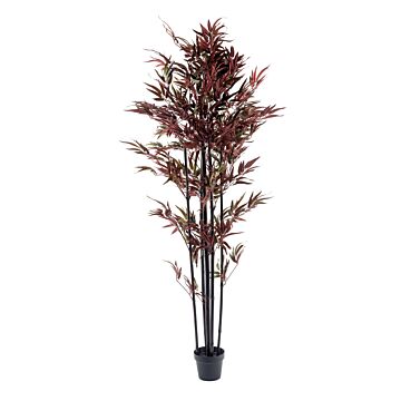 Bamboo Plant Red & Green 180cm