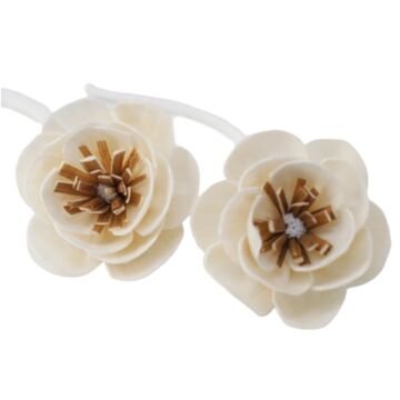 Natural Diffuser Flowers - Small Poppy On String - Pack Of 12