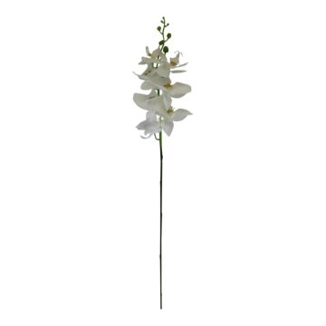 Single Orchid Spray, White Flowers, 85cm