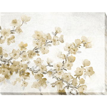 Neutral Cherry Blossom Ii By Tim O'toole - Printed Canvas