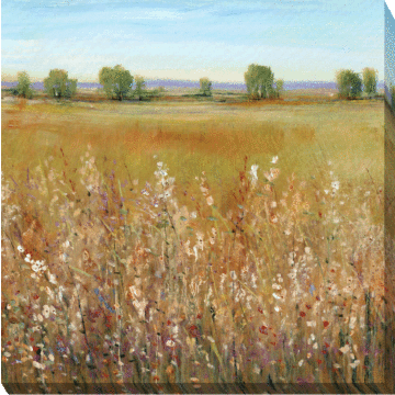 Abundance Of Wildflowers I By Tim O'toole - Canvas Print