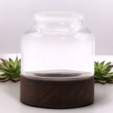 Small Shaped Terarium On Dark Tung Wood