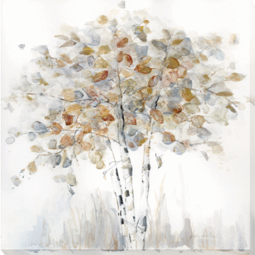 Birch Grove Ii By Sally Swatland - Canvas Print