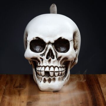 Backflow Incense Burner - Skull