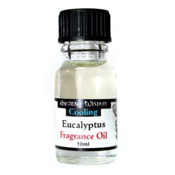 10ml Eucalyptus Fragrance Oil