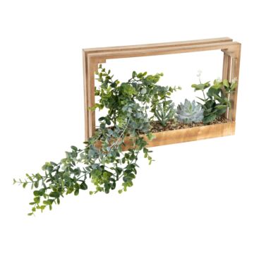Modern Succulent Wall Frame Shelf