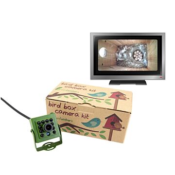 Green Feathers Bird Box Camera Hd With Tv Cable Connection