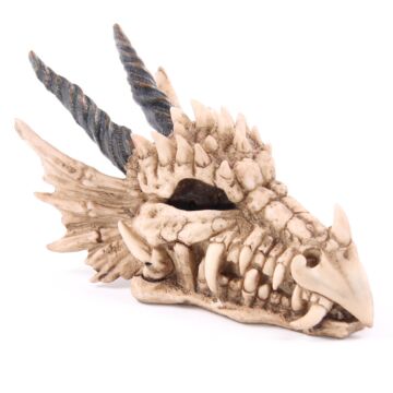 Fantasy Dragon Skull Money Box