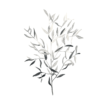 Soft Grey Botanicals Iii By Emma Scarvey