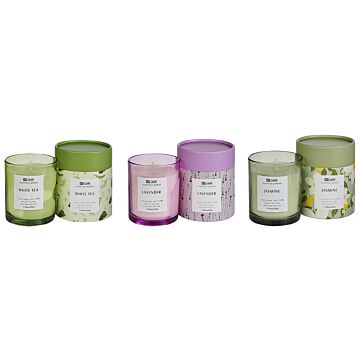 Set Of 3 Scented Candles Multicolour 100% Soy Wax Cotton Wick Glass Floral Oriental Herb Fragrance White Tea/lavender/jasmine Beliani