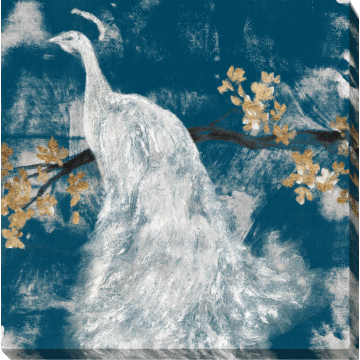 White Peacock On Indigo Ii By Jennifer Goldberger - Canvas Print
