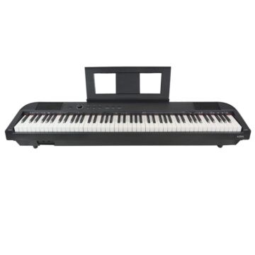 Axus Axd55 88 Note Digital Stage Piano