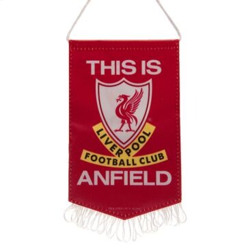 Liverpool Fc Tia Mini Pennant