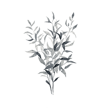 Soft Grey Botanicals I By Emma Scarvey